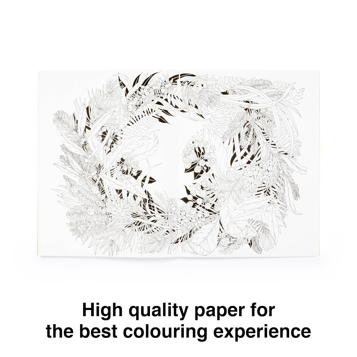 Walk in the Woods, an Intricate Colouring Book - 2