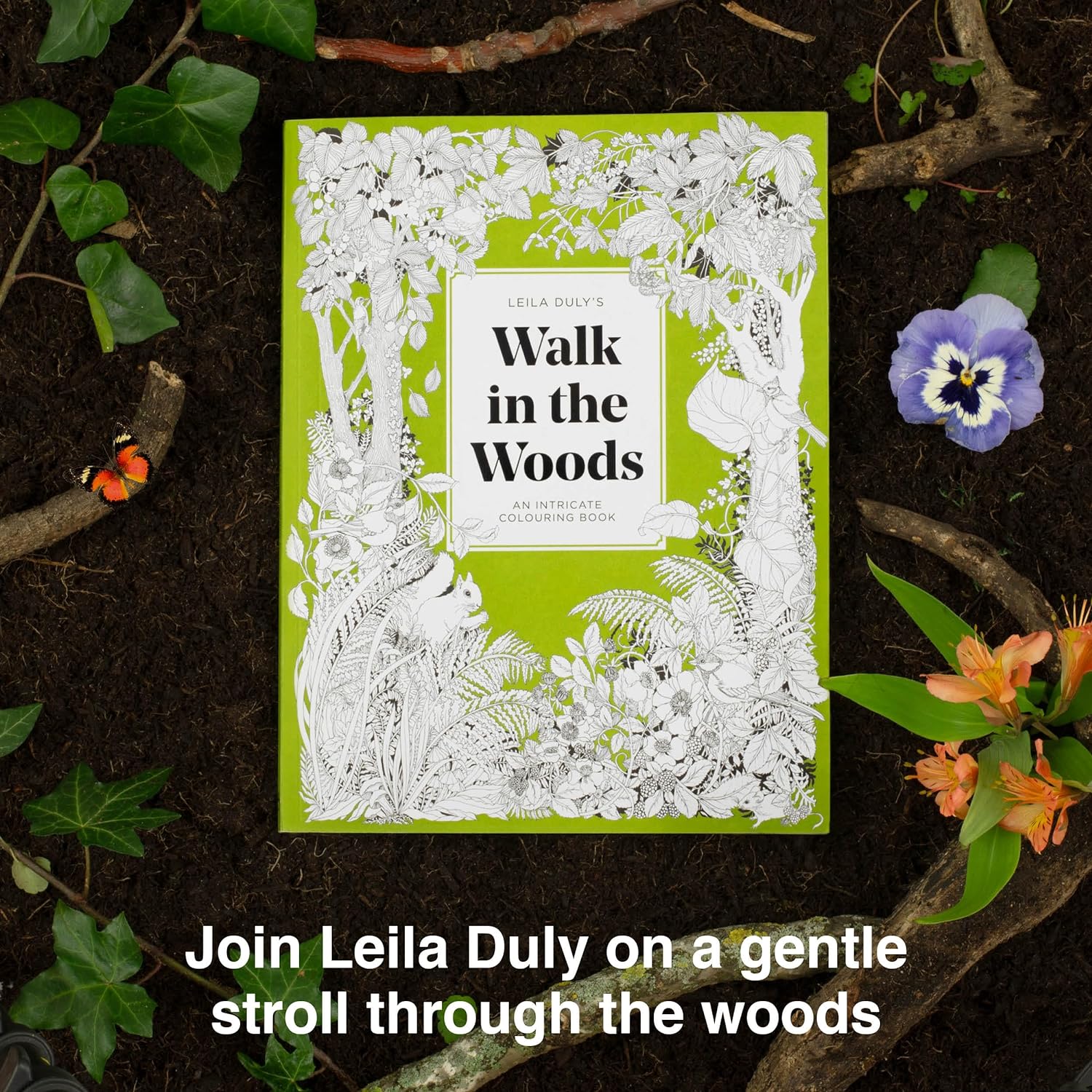 Walk in the Woods, an Intricate Colouring Book - 6