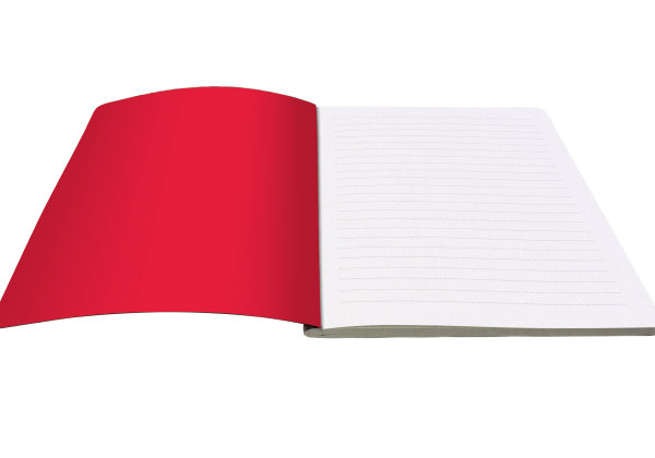 Flying Bear A5 Softback Journal - 3