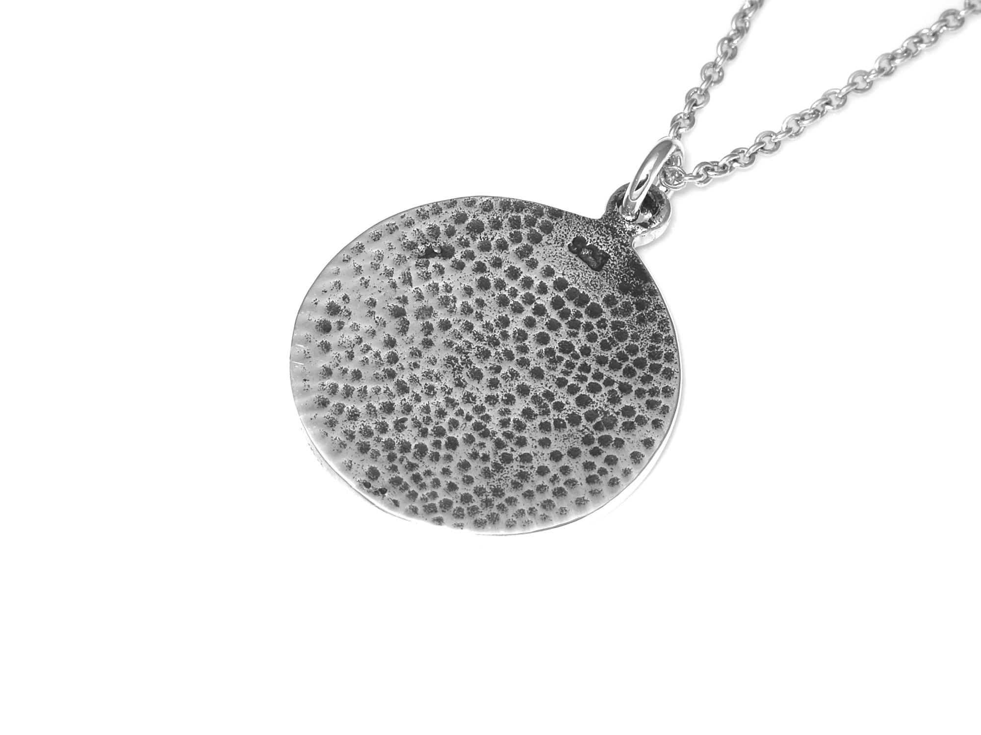 Vegvisir Halsband i Äkta 925 Silver, Viking Hänge, Asatro Accessoar, Vikingakompass Smycke - 3