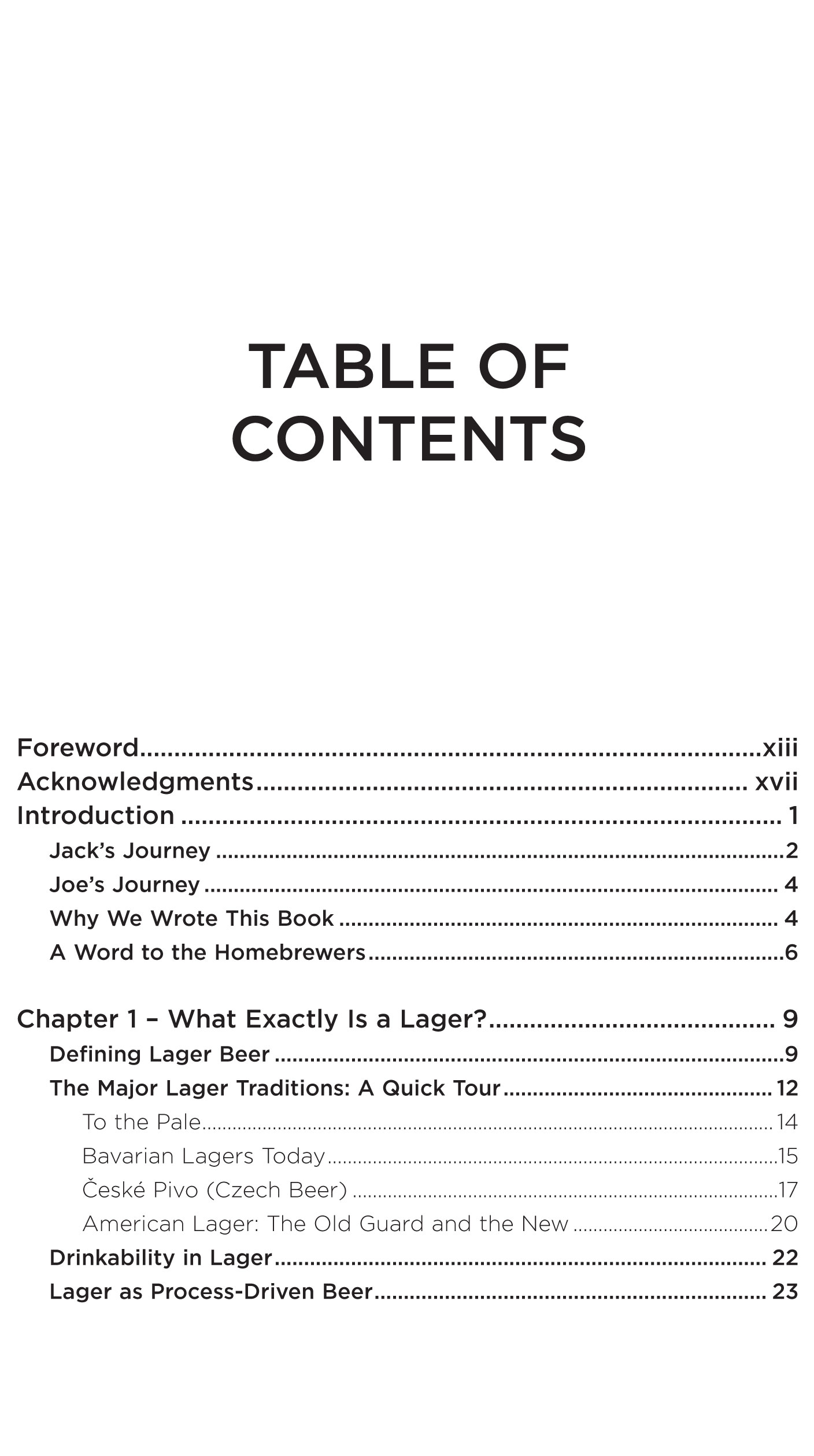 Modern Lager Beer - 4