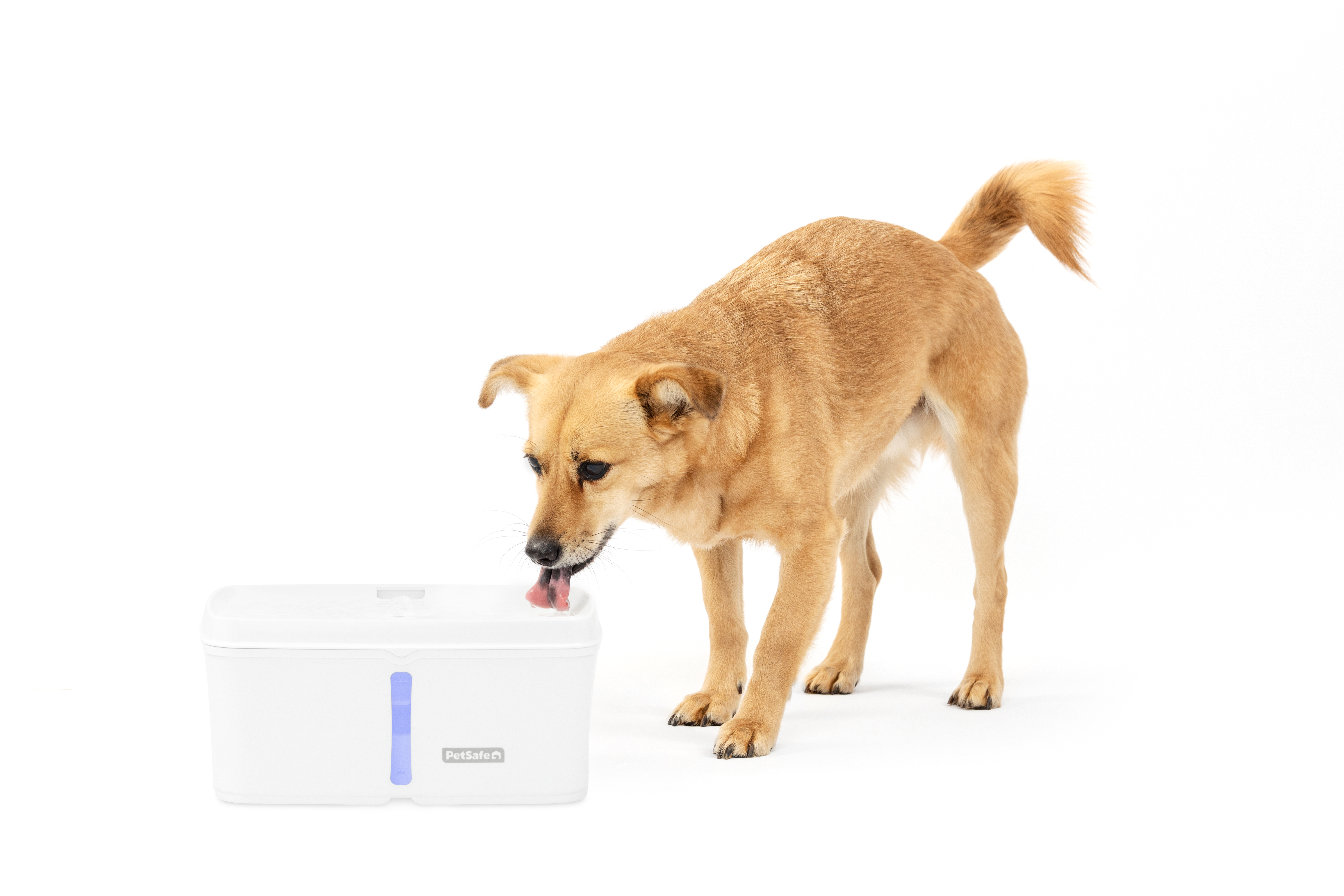 PetSafe Viva Pet Water Fountain - 4,1 Liter - Easy to clean