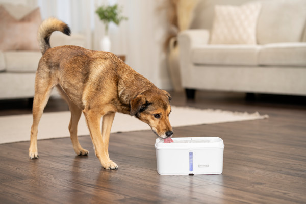 PetSafe Viva Pet Water Fountain - 4,1 Liter - Silent pump