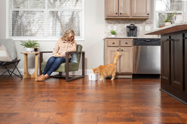 PetSafe Viva Pet Water Fountain - 1,8 Liter - Two-shit filtering