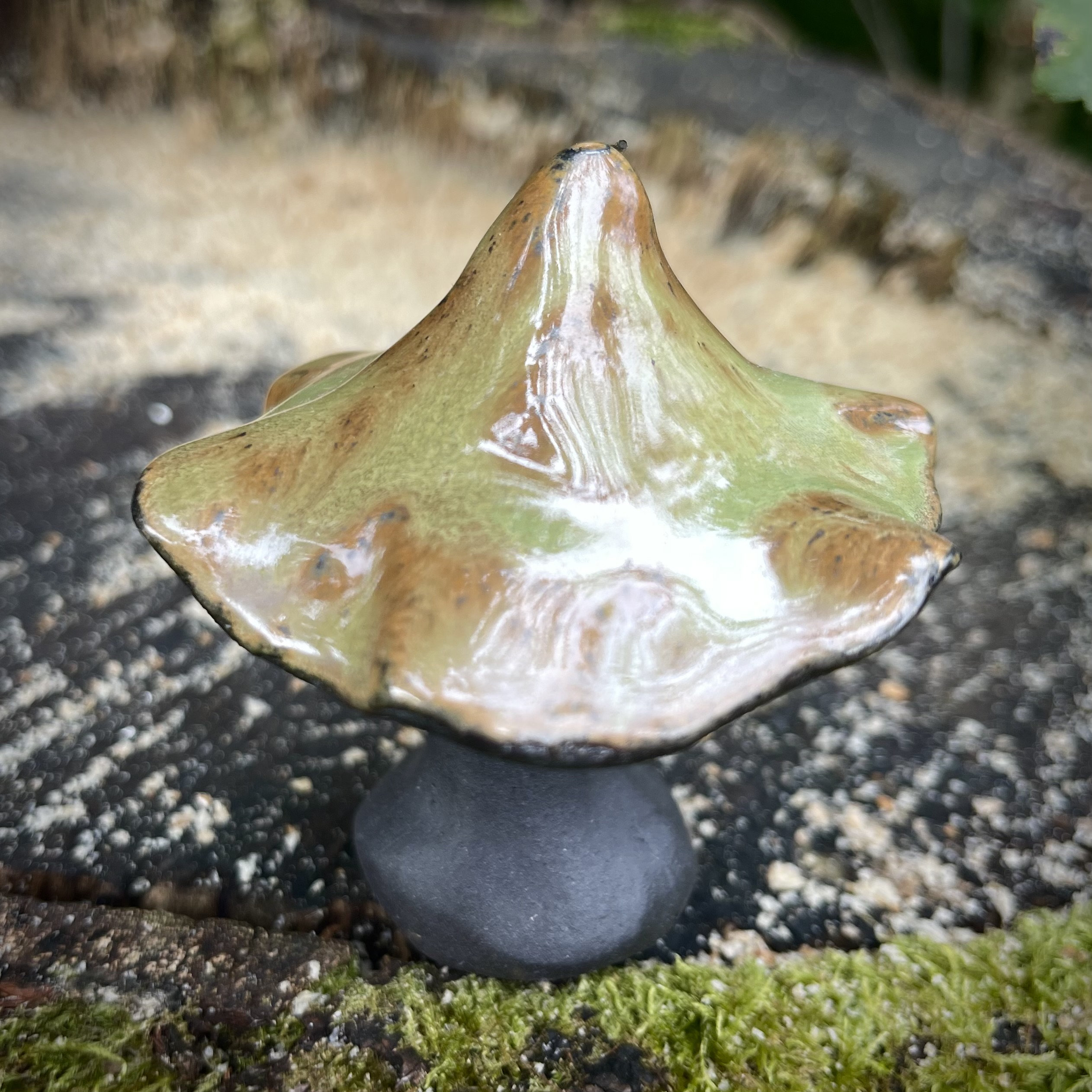 Sopp  Grønn - 2