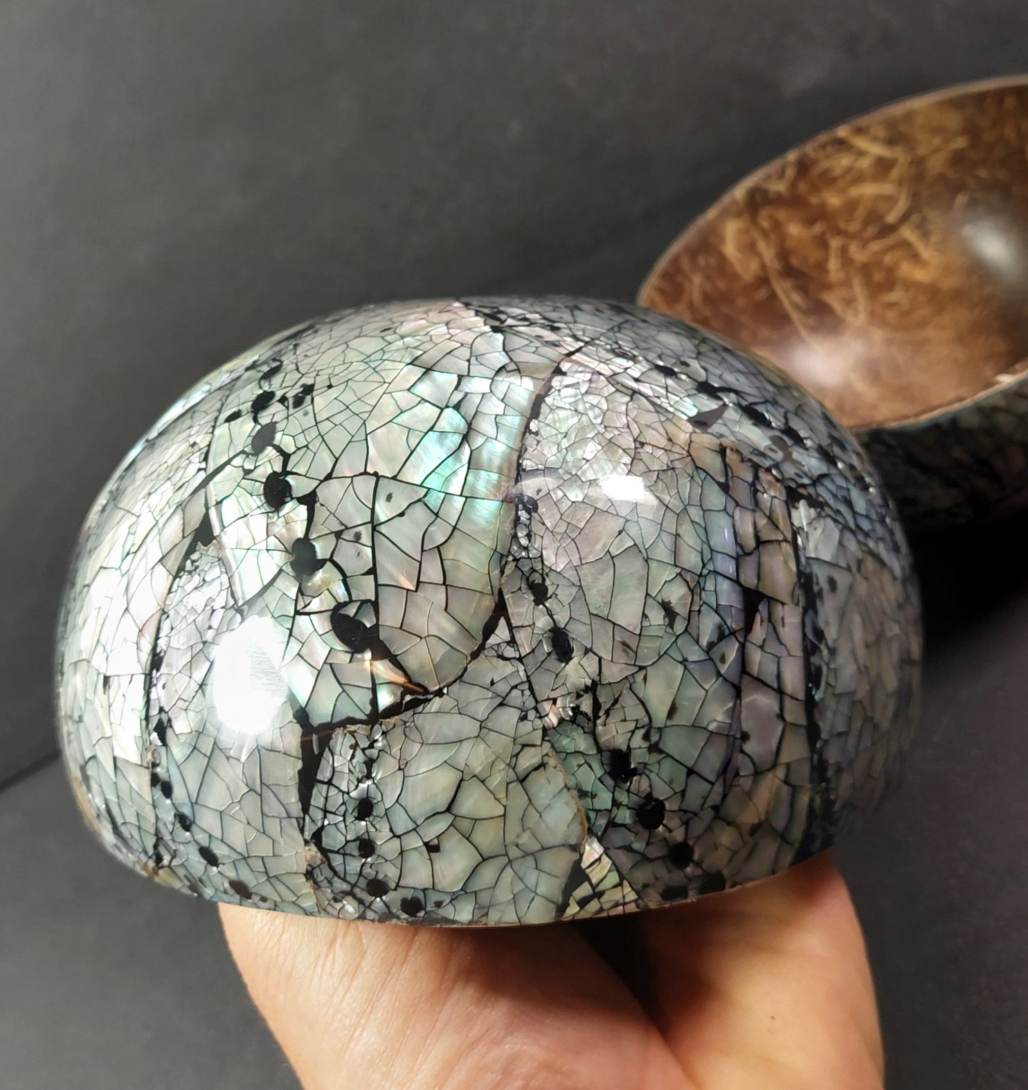 Skål av Kokosskal med Paua Snäckskal - 6