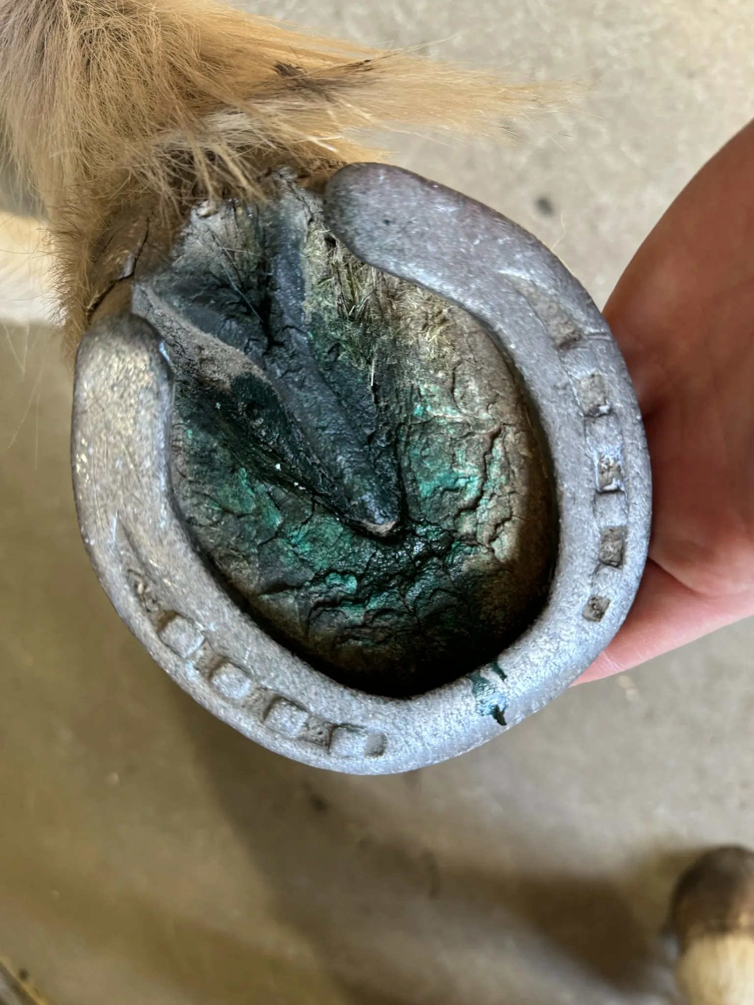 Heimer Hoof Hygienic Spray - 2