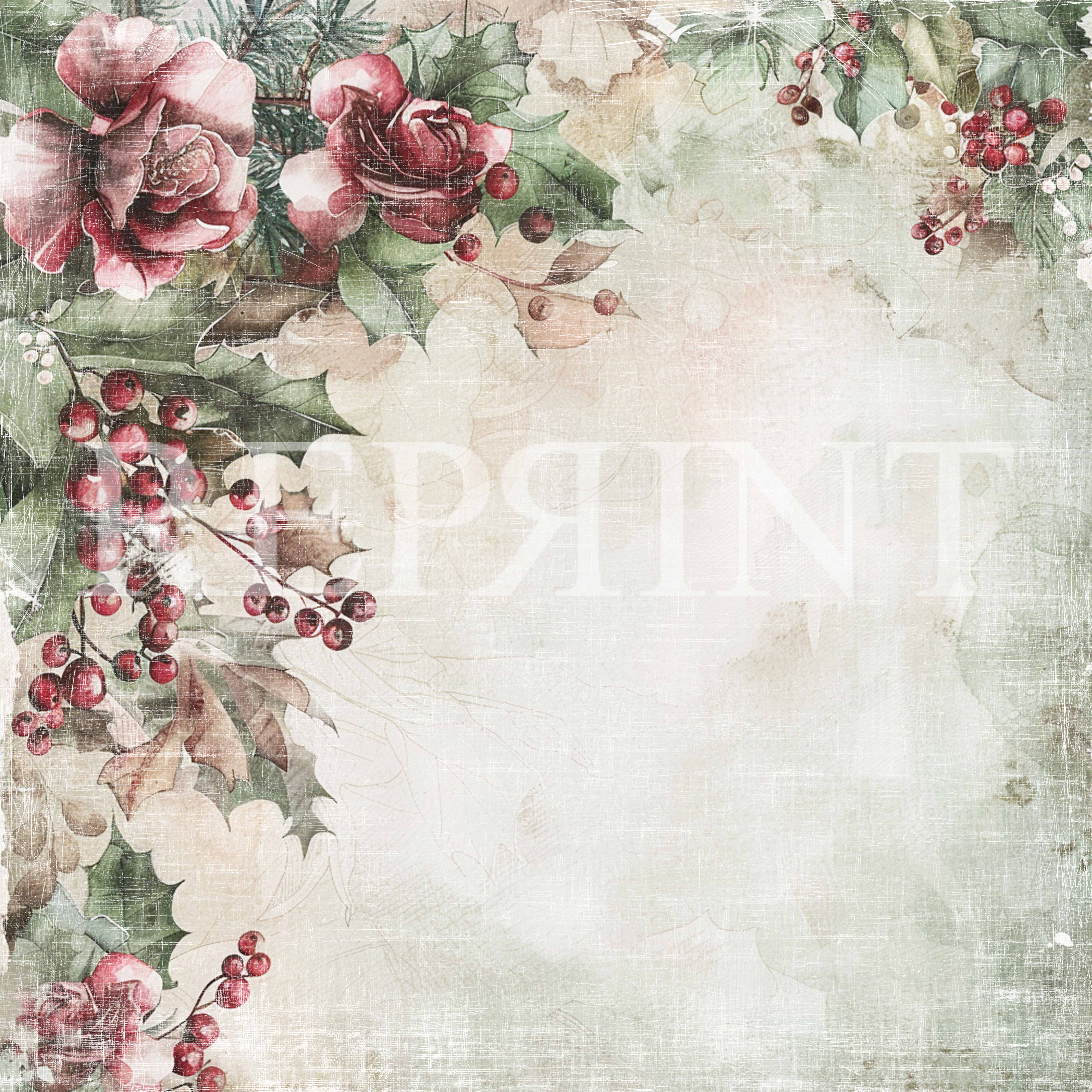 Papper Scrapbooking  Reprint - X-mas Rose  -  12x12 (30,5 x 30,5 cm)