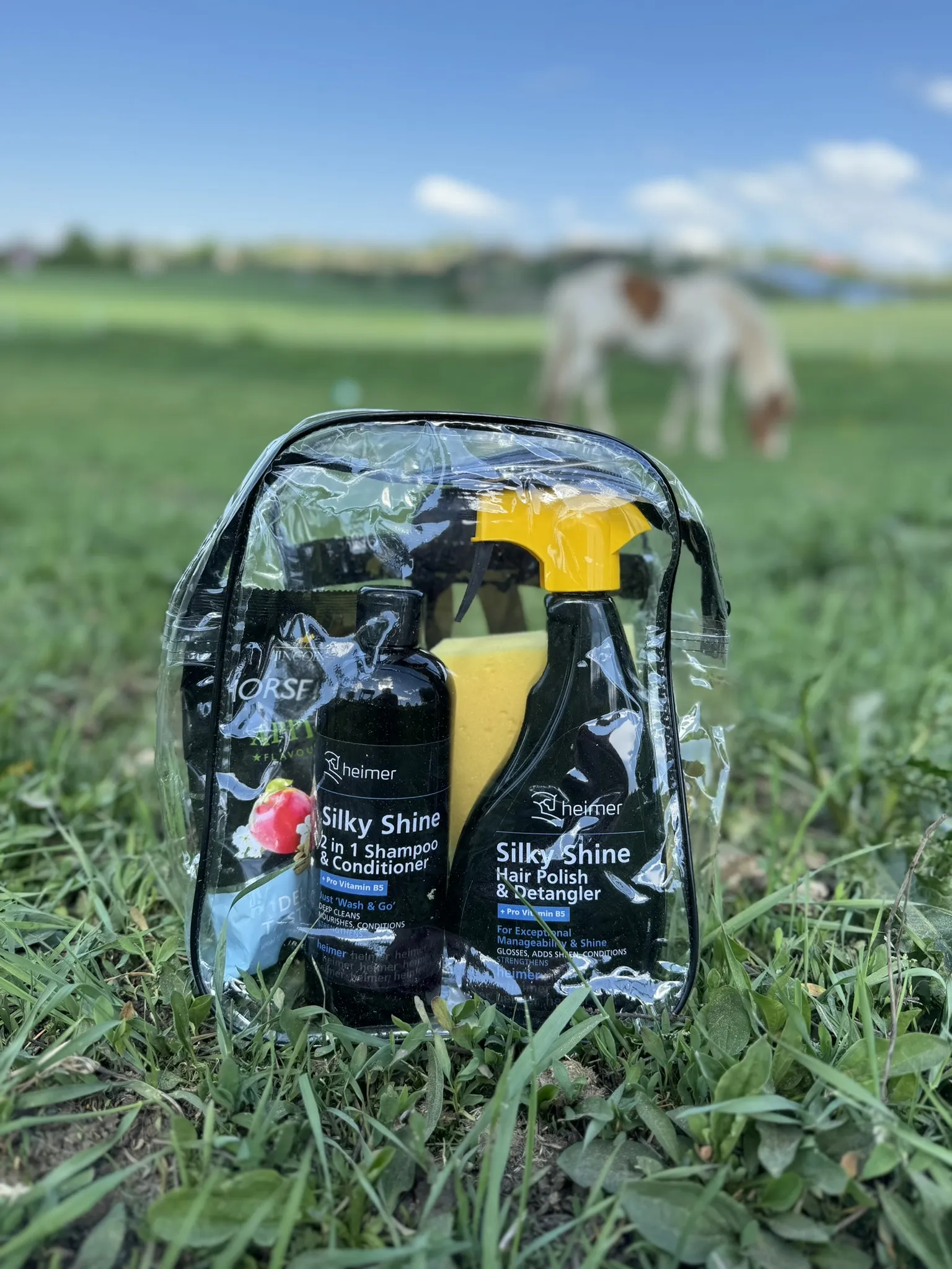 Heimer Shiny Silk Care Pack - 2