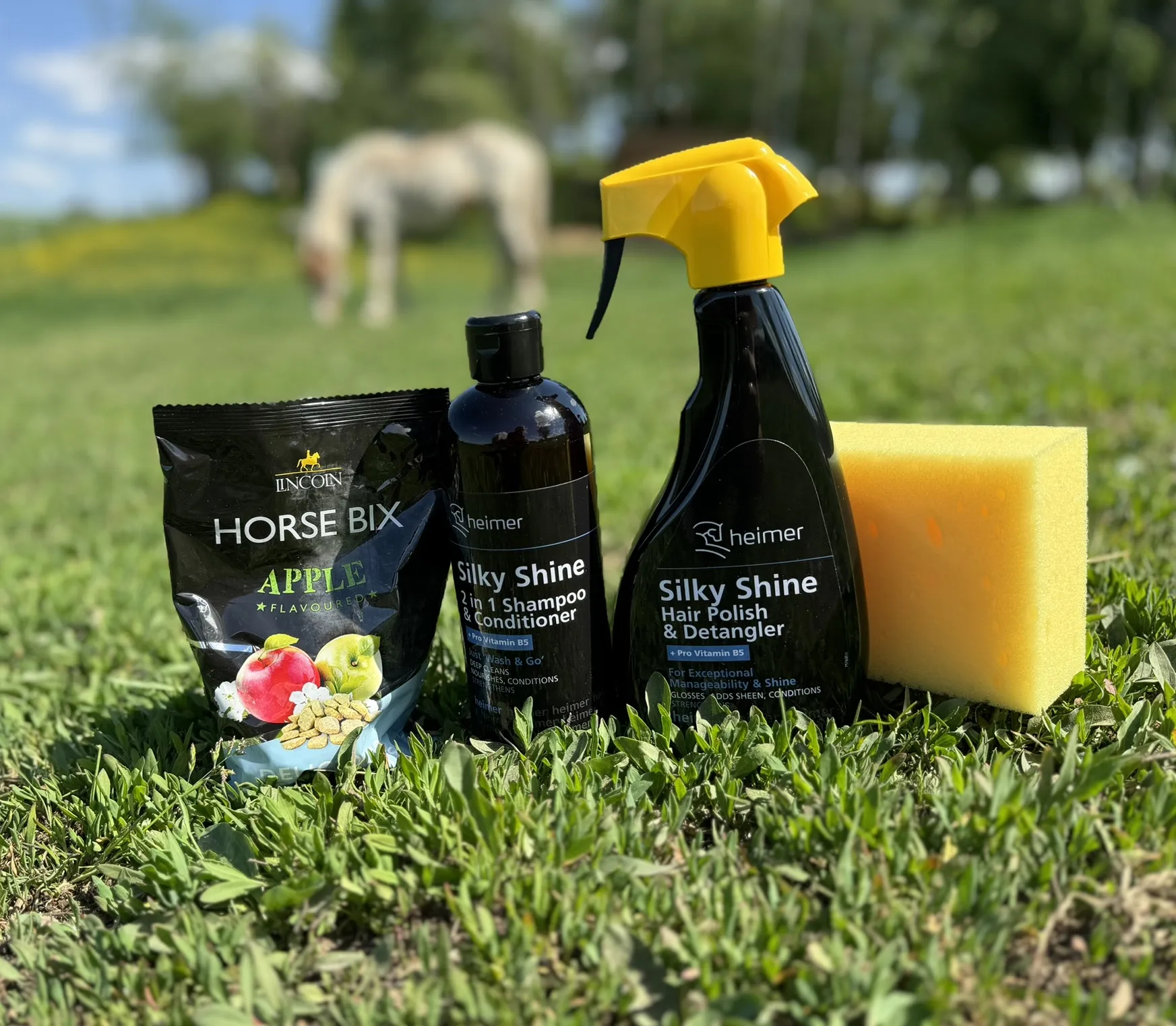 Heimer Shiny Silk Care Pack