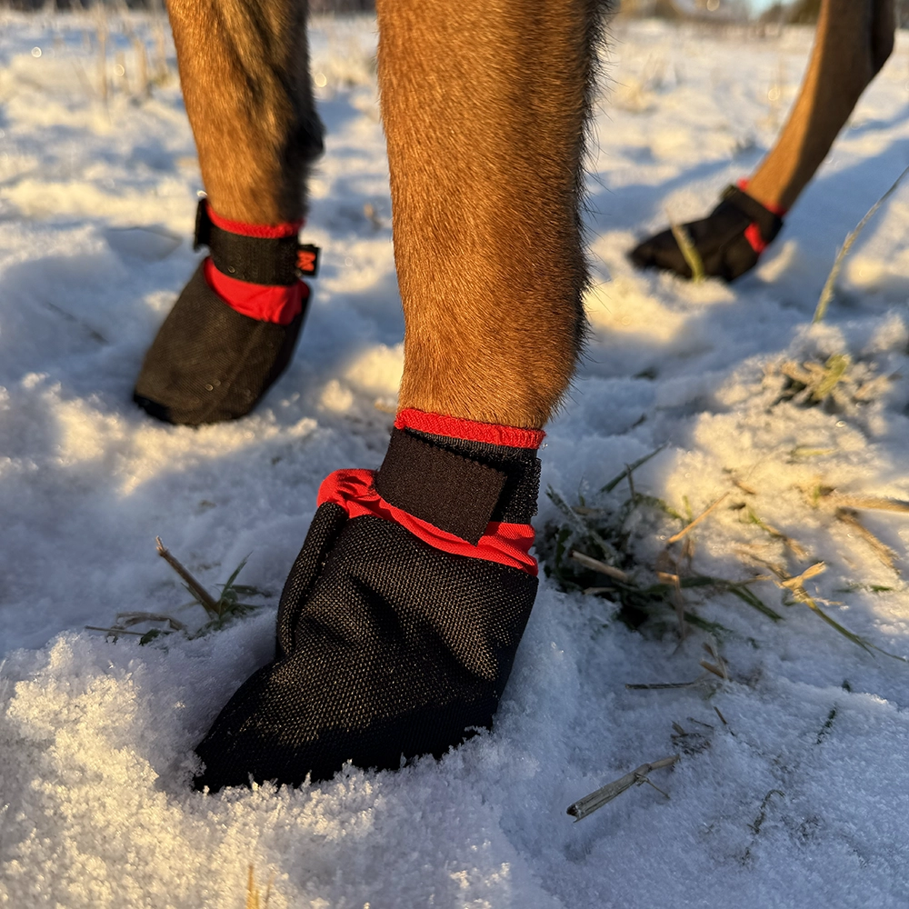 Non-Stop solid hundsockor tossor till hund