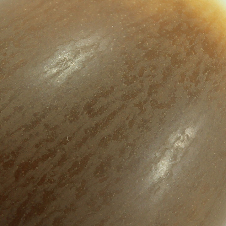 ベルント・フリーベリ  一点もの  茶色のベース  (4cm)  1961年