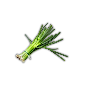 Gräslök EKO (Sverige) (Styck)