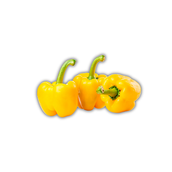 Paprika Gul EKO (Holland) (kg)