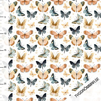 BUTTERFLIES