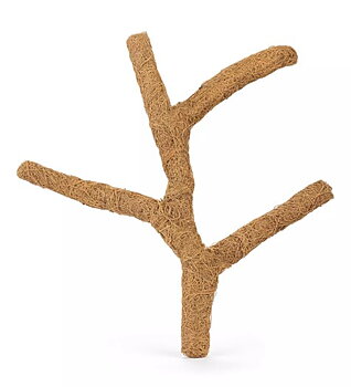 Coconut Branch Troncho 60cm - M