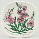 Esteri Tomula (Botanica 1982) Fireweed Wall Plaque 13 cm (2)
