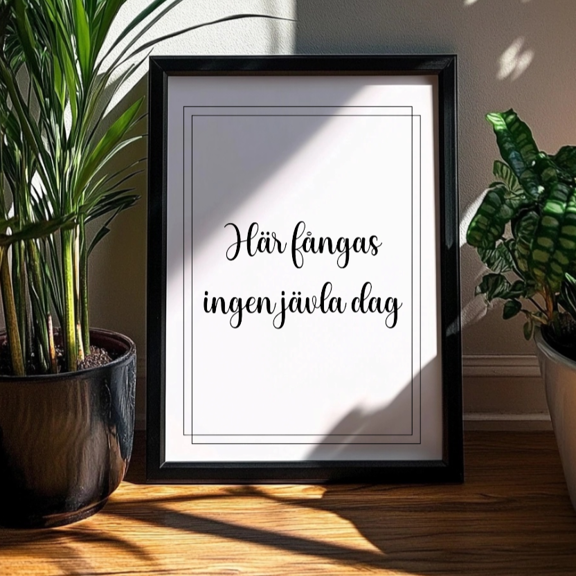 Här fångas ingen jävla dag poster