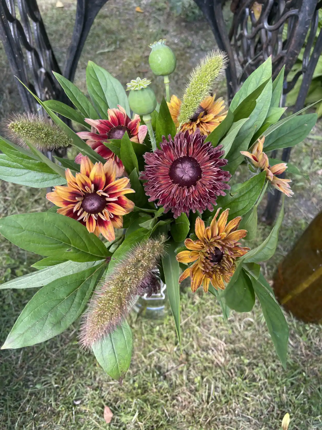 Bukett av Rudbeckia 'Sahara'