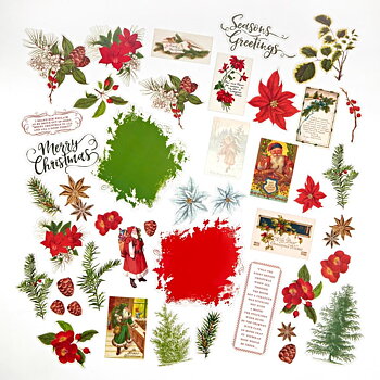 49 And Market - Acetate Assortment Set - Evergreen Season