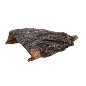 Aquarium cave  new