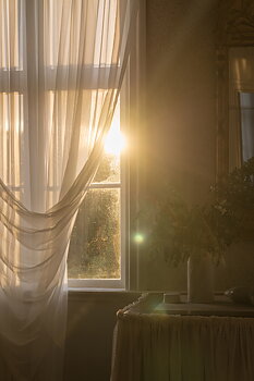 Gardin Hotellvoile Natur Höjd 290 cm