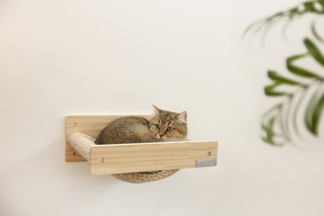 Kerbl Hammock for cat - Excercise