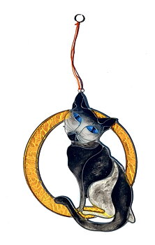 Solfångare  - Katt