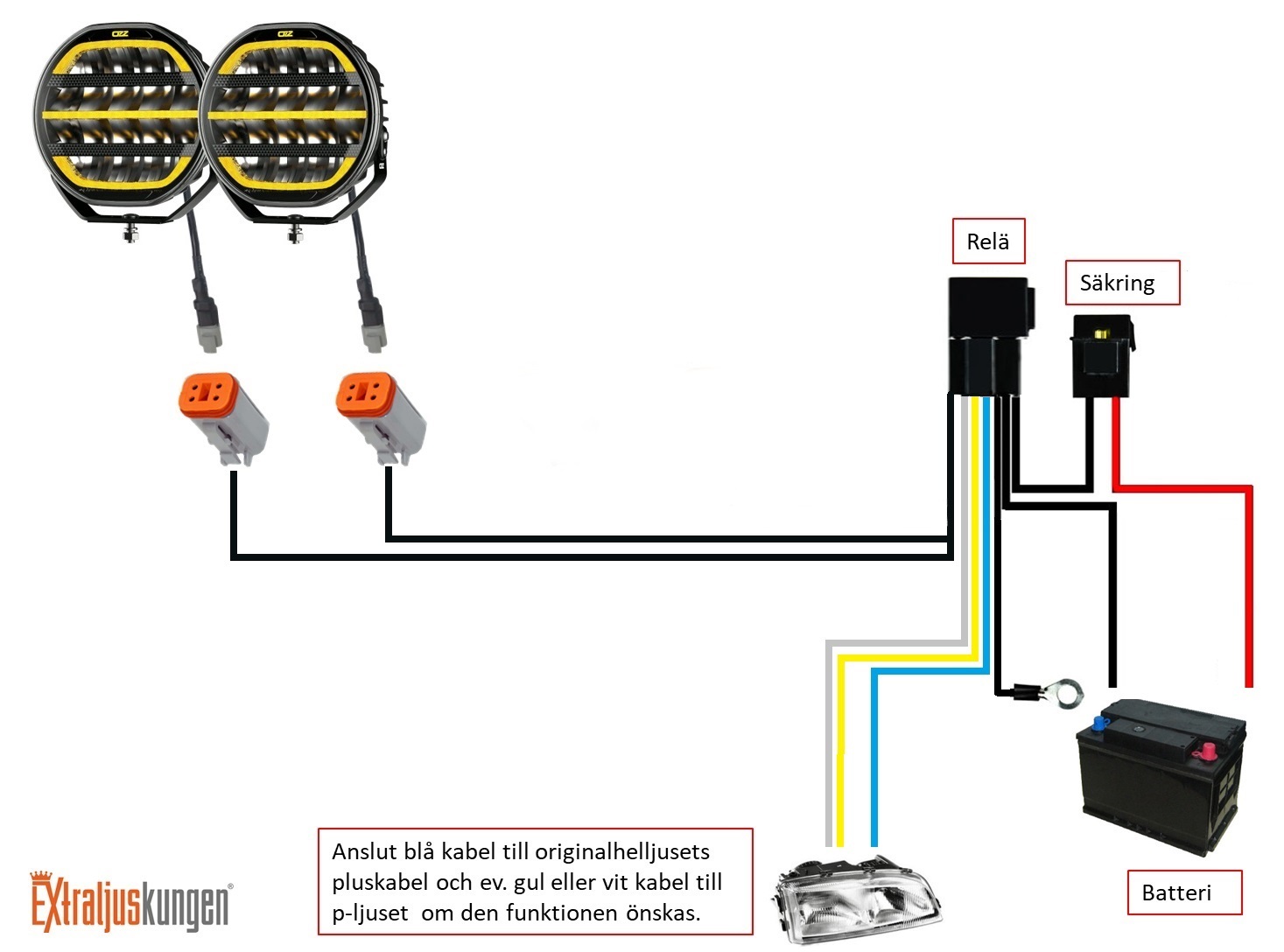 Relay Cable Kit with 2 x43-Pin DT connector 80A - 2