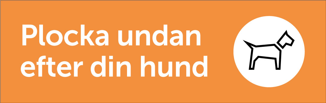 Plocka undan efter din hund
