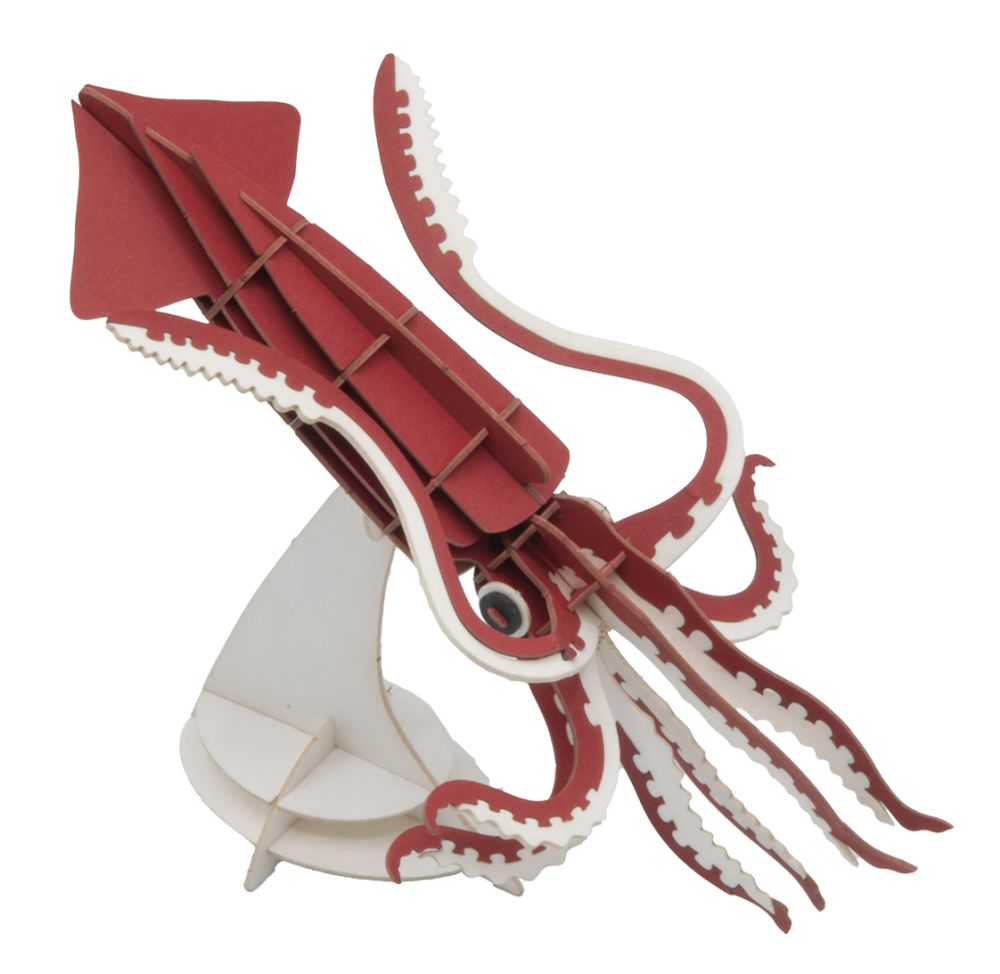 3D-pappersmodell, Bläckfisk - 3