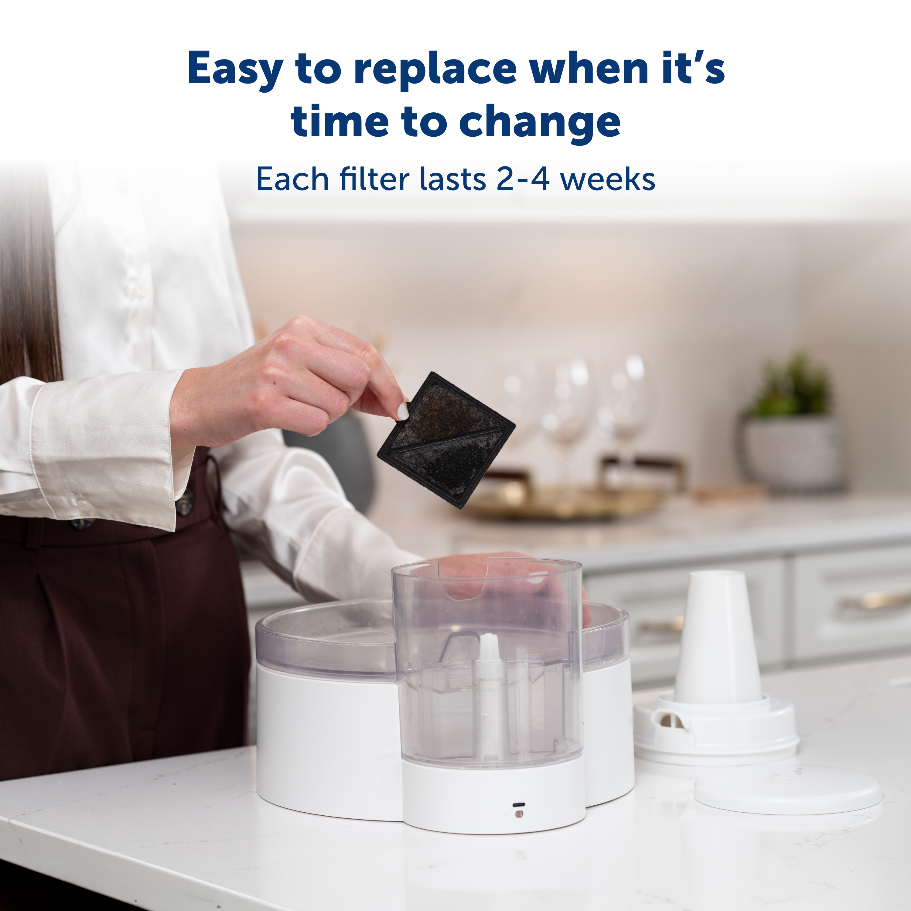 PetSafe Ion-X filter Pet fountain Outlast & Viva Pet - Drink