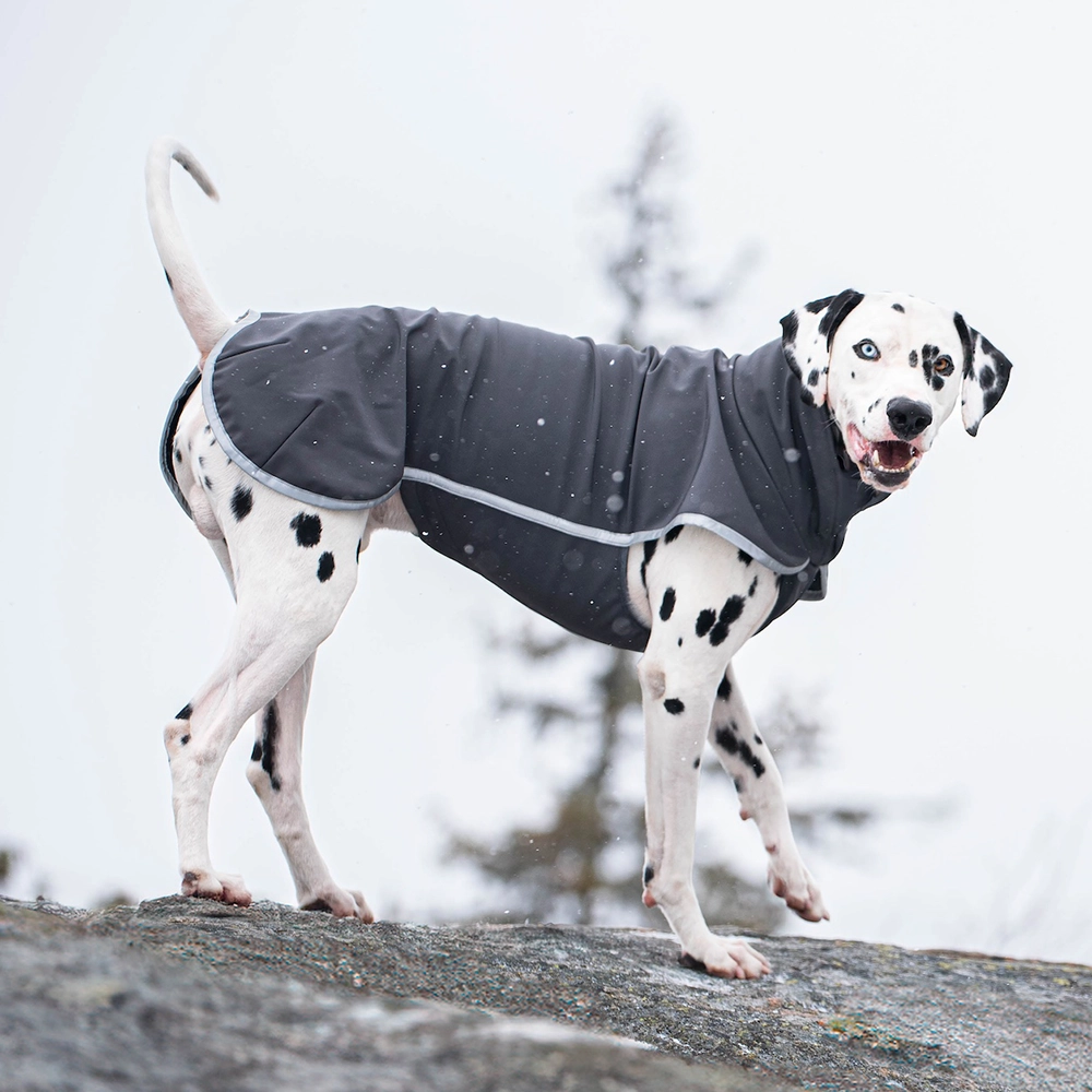Täcke till hund softshell Pomppa Sportti till stor hund