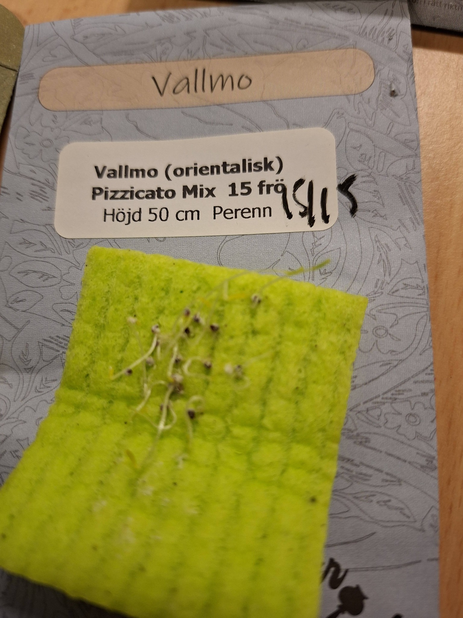 Orientalisk vallmo Pizzicato Mix  15 pellets - 3