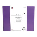 Bee & Bumble Gift Kit - Scrapbooking set Black