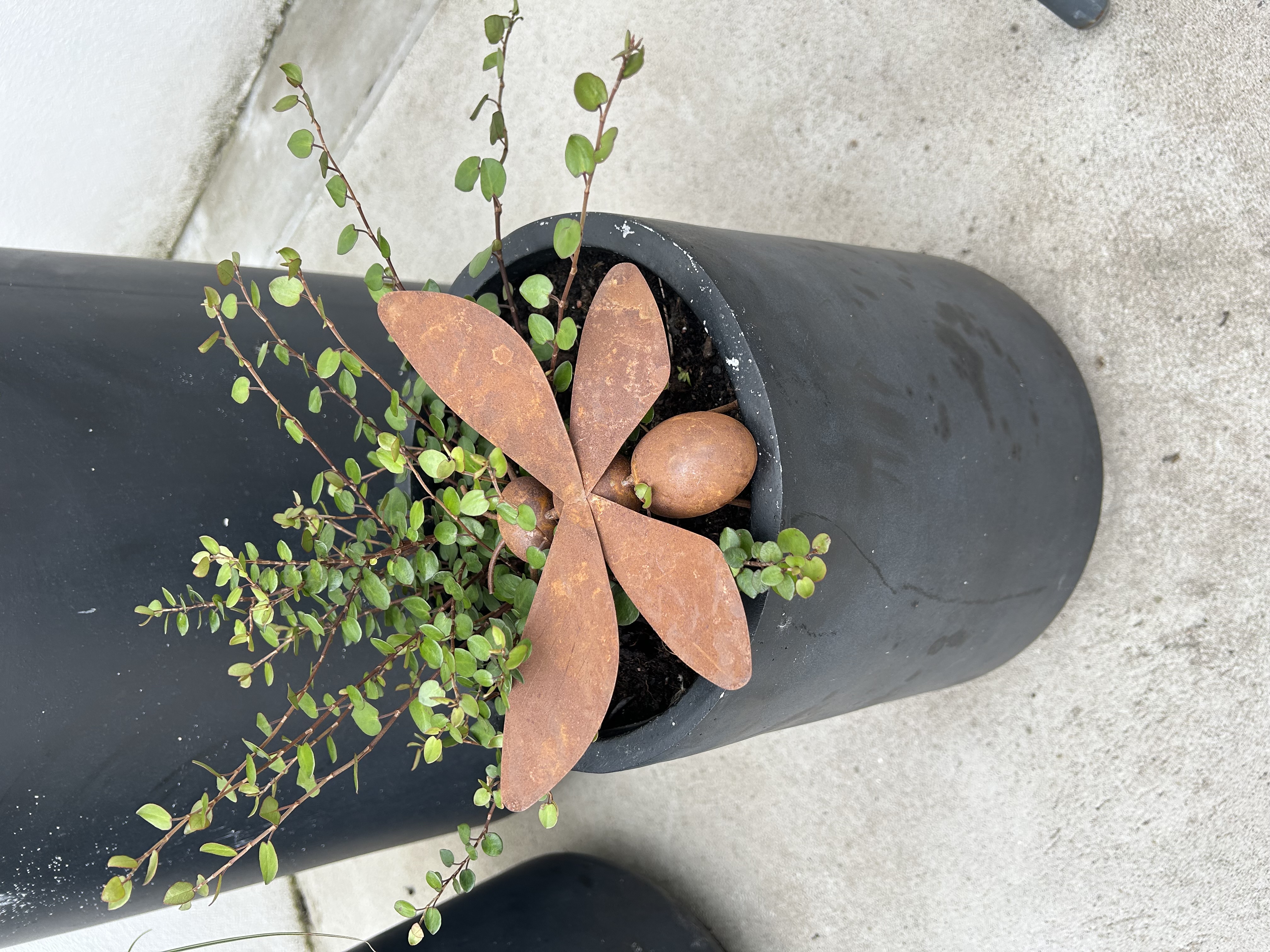 Fjäril i rostig plåt 20 cm