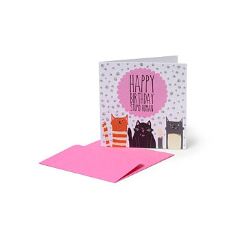 Small Greeting card, Kitty, Happy Birthday stupid human (BQEB030)