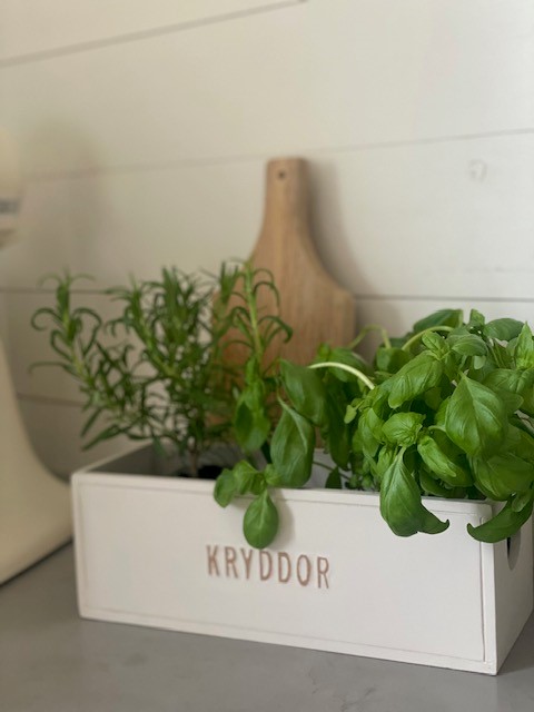 Trälåda - Kryddor