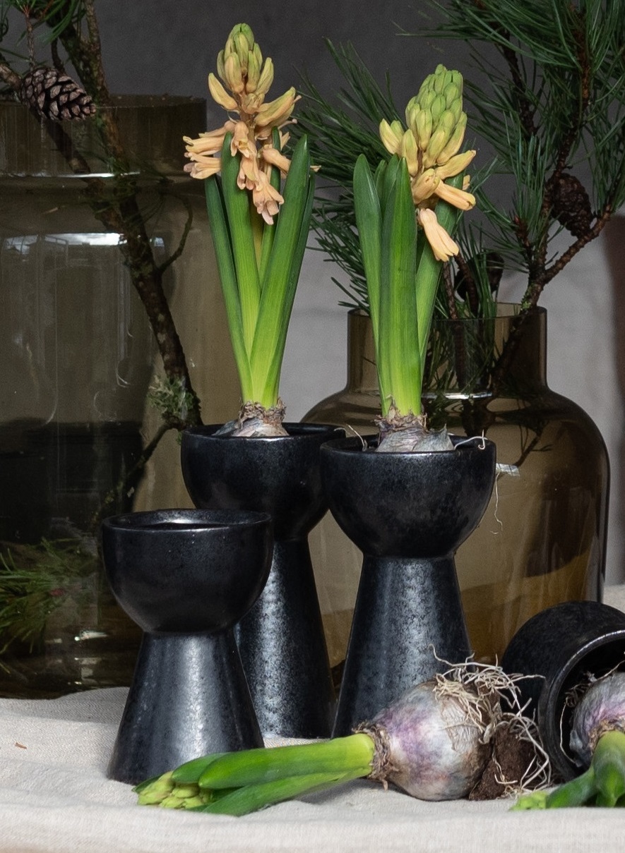Hyacintvas svart liten 12 cm