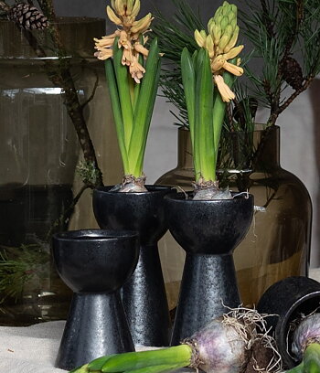 Hyacintvas svart liten 12 cm