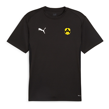 Puma Teamgoal  Jersey  (BK Astrio Senior)