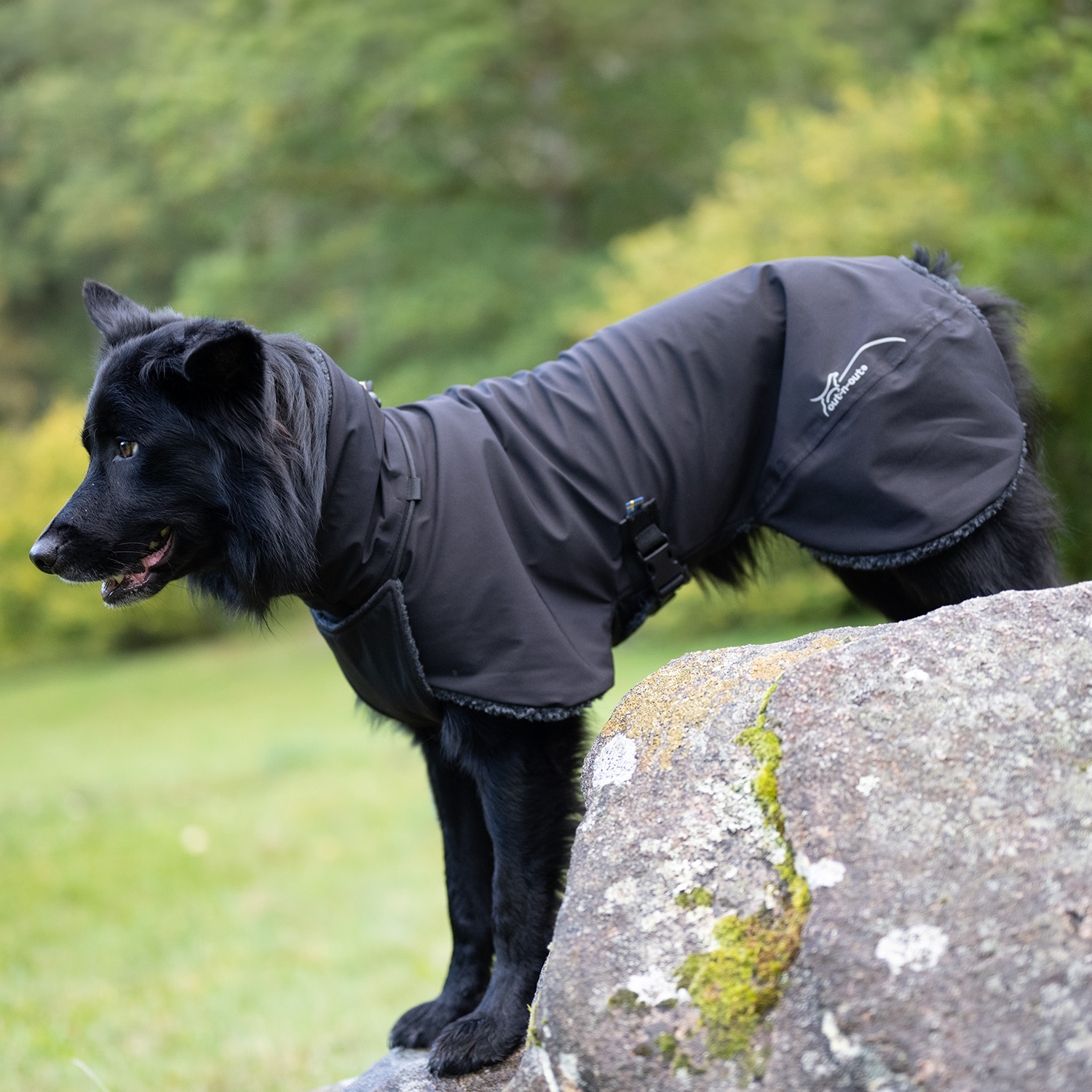 Winter Wool (ACTIVE) - 9
