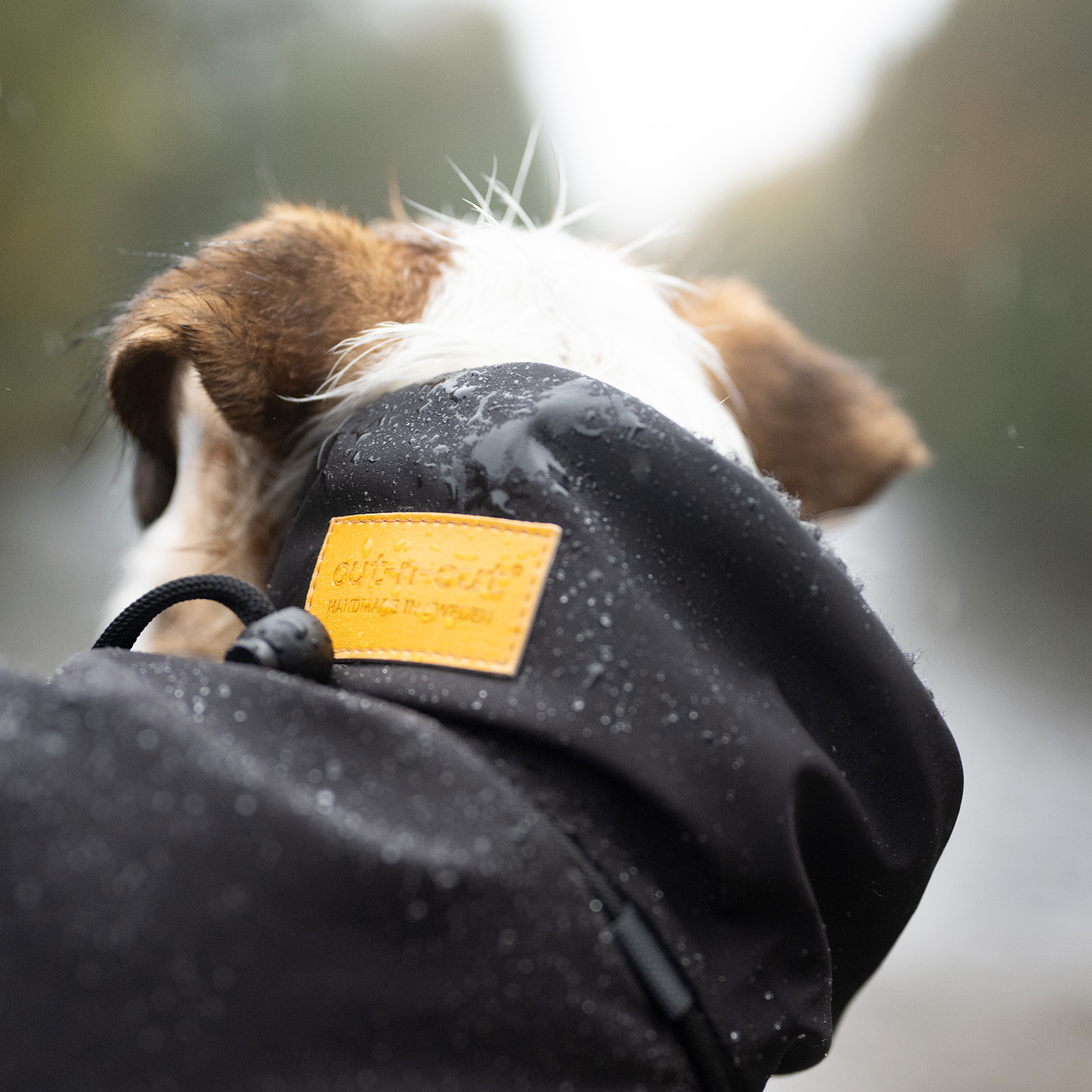 Winter Wool (ACTIVE) - 4