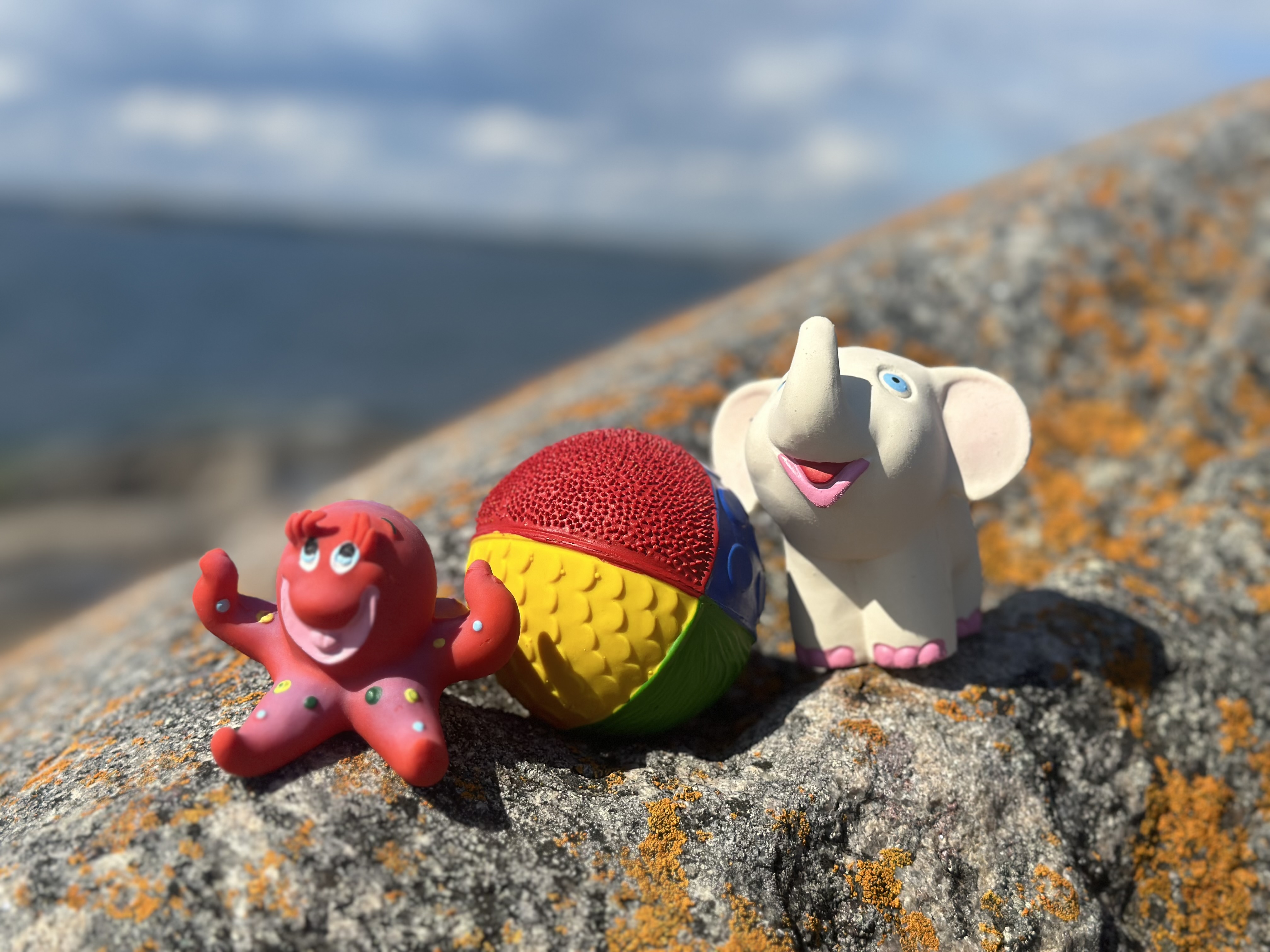 3 leksaker; sjöstjärna, boll och elefant