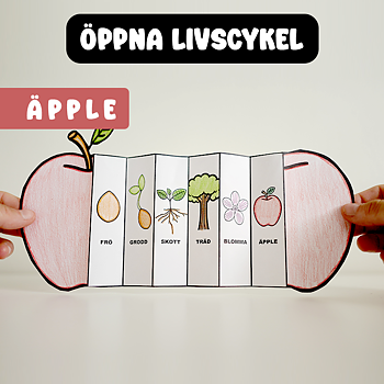 Höstpyssel - Äpplets Livscykel