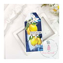 Dress My Craft Mini Transfer Me Sheet - Fresh Lemons