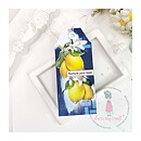 Dress My Craft Mini Transfer Me Sheet - Fresh Lemons