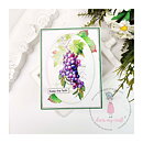 Dress My Craft Mini Transfer Me Sheet - Wine Grapes