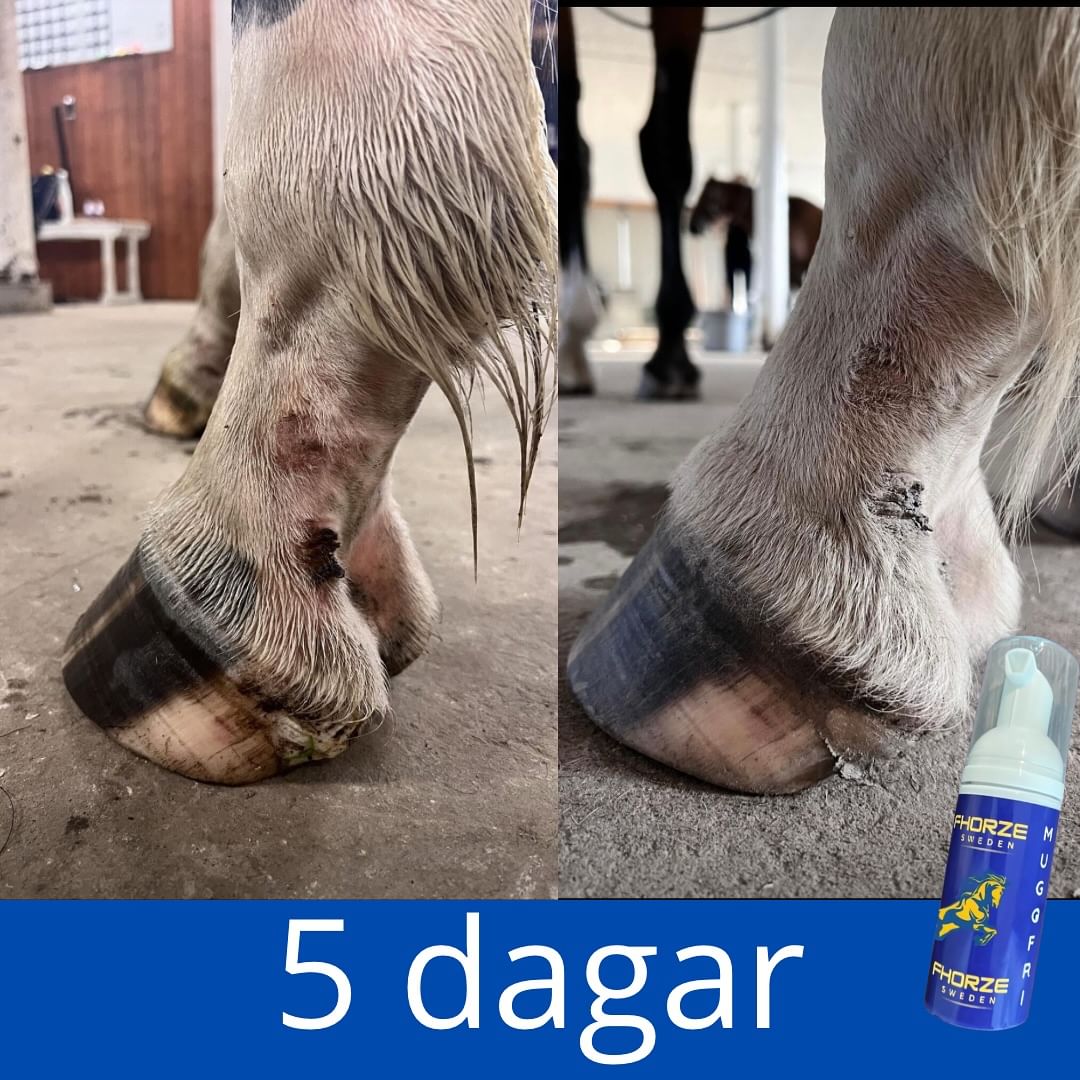 FHORZE - Muggfri 200ml - 2