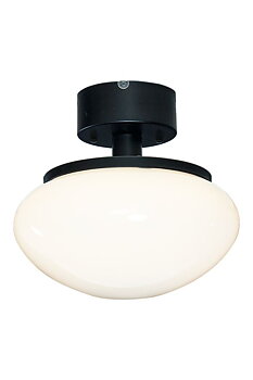 Plafond New August Vit/Svart - Aneta